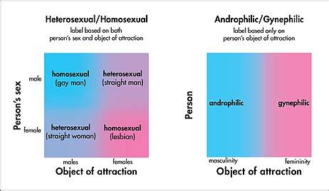 andophil|Androphilia and gynephilia .